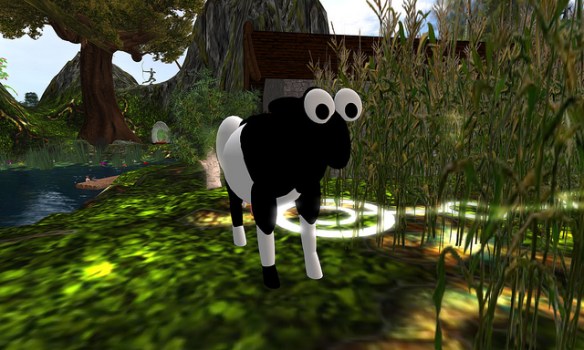 5240028061_19a5b3bbd5_z