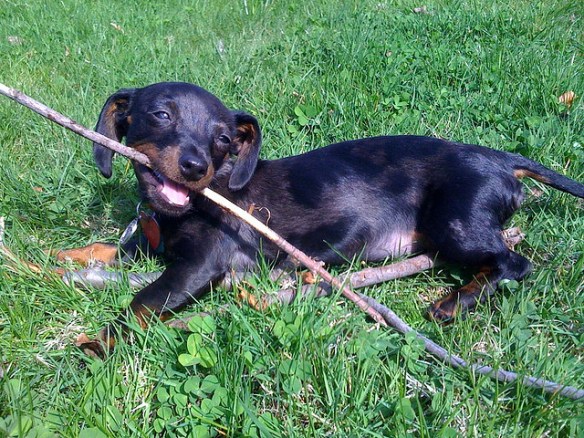 3474135165_d9f6fdf7b7_z