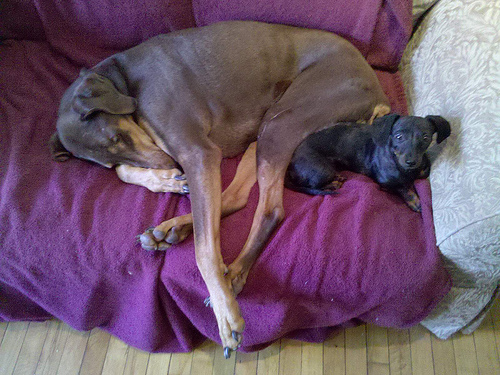 4615612026_3ffa591834