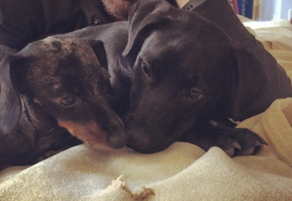 sam and olly maine.jpg