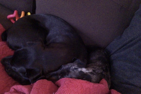 sam and olly sleeping