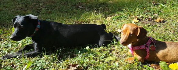 c4906f7e8c4733d7837a6f3df8cad763