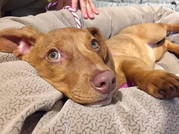 Look at those green peepers!